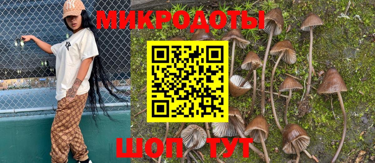 Шарыпово  Псилоцибиновые грибы Magic Shrooms  Вход с VPN  Галлюциногенные грибы прущие грибы 